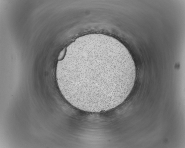 X0000089861489200707262117