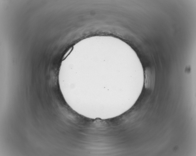 X0000089861491200707262117