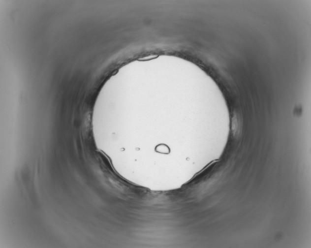 X0000089861492200707262117