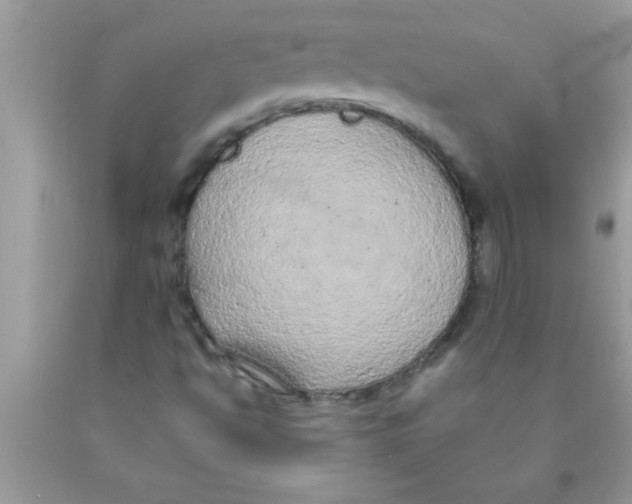 X0000089861494200707262117