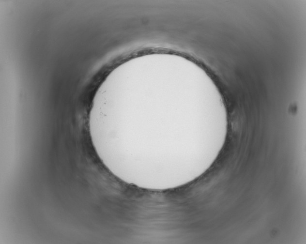 X0000089861495200707262117