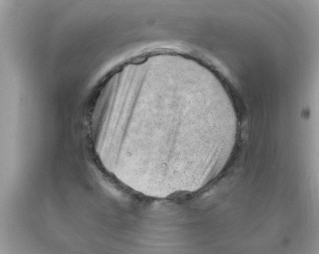 X0000089861496200707262117