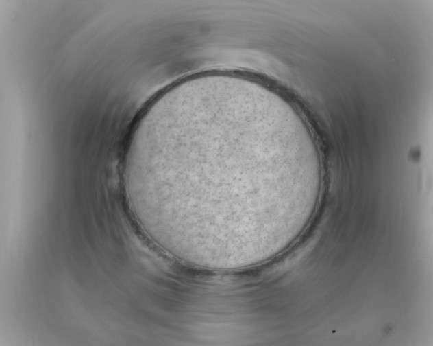 X0000089861497200707262117