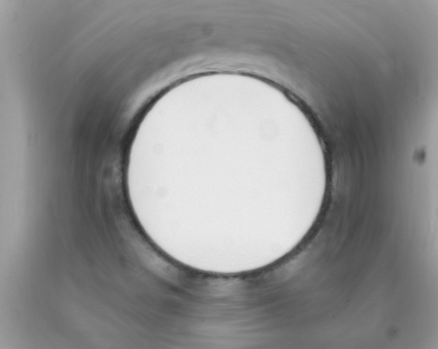 X0000089861498200707262117