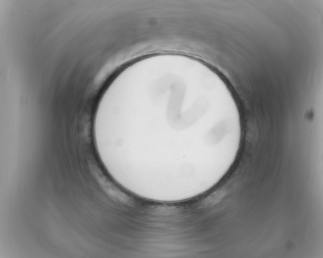 X0000089861499200707262117