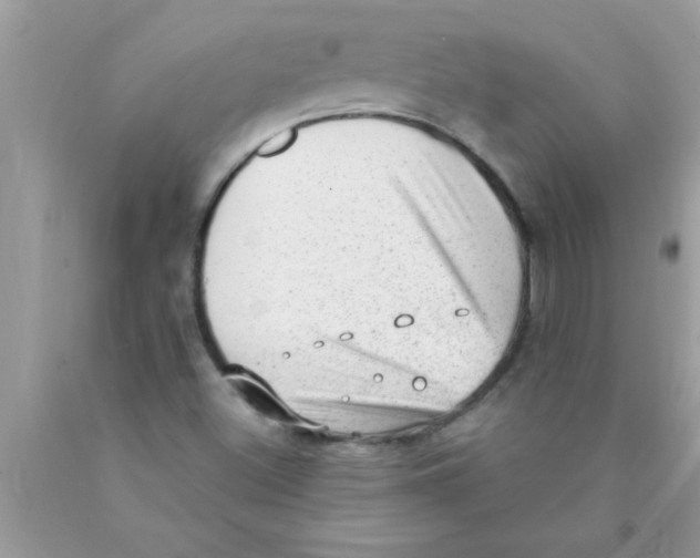 X0000089861500200707262117