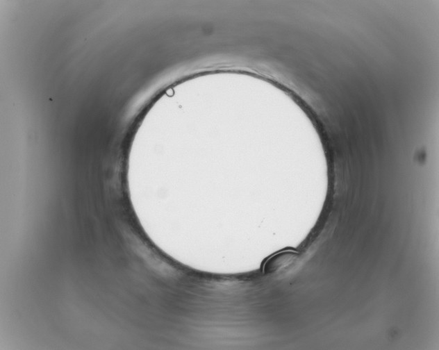 X0000089861502200707262117