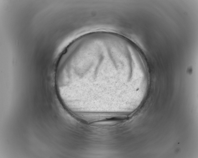 X0000089861504200707262117