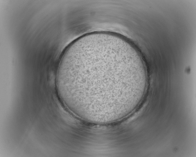 X0000089861505200707262117