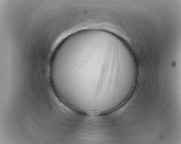 X0000089861506200707262117