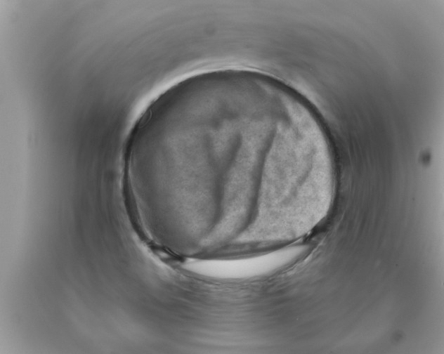 X0000089861508200707262117