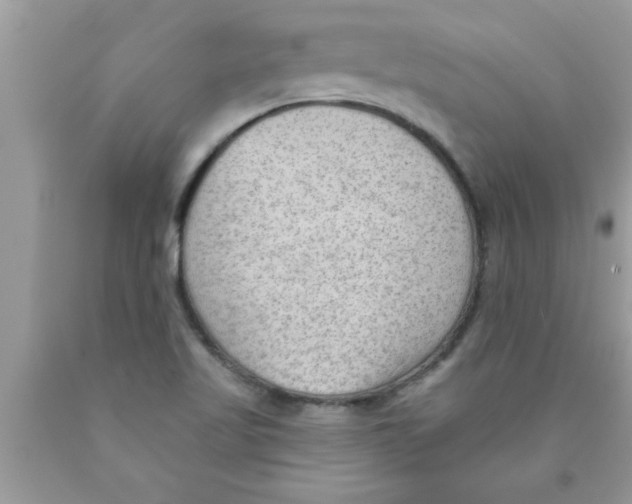 X0000089861509200707262117