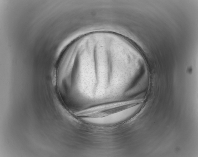 X0000089861510200707262117