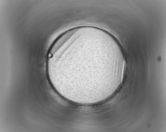 X0000089861511200707262117