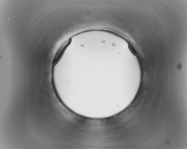 X0000089861512200707262117