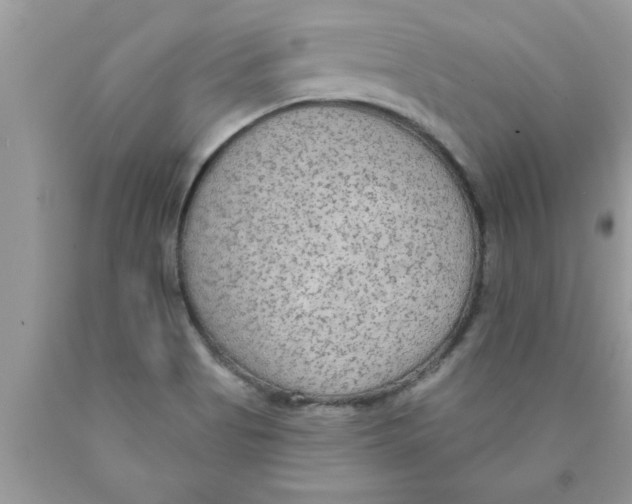 X0000089861513200707262117