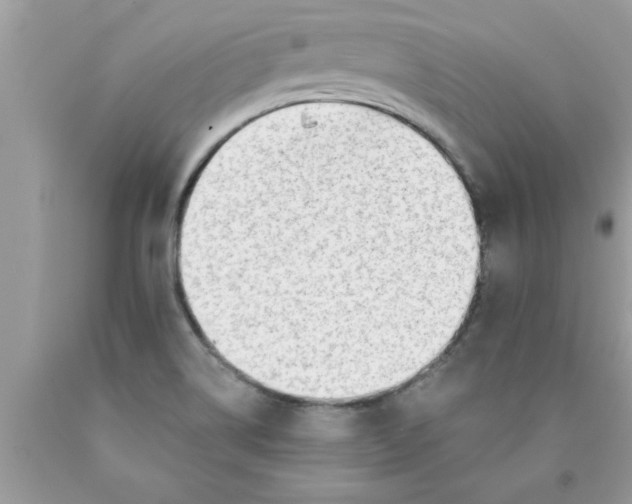 X0000089861514200707262117