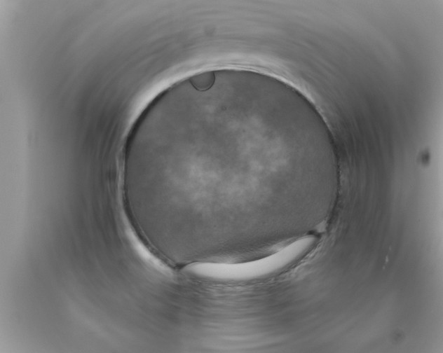 X0000089861515200707262117