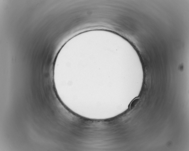 X0000089861516200707262117