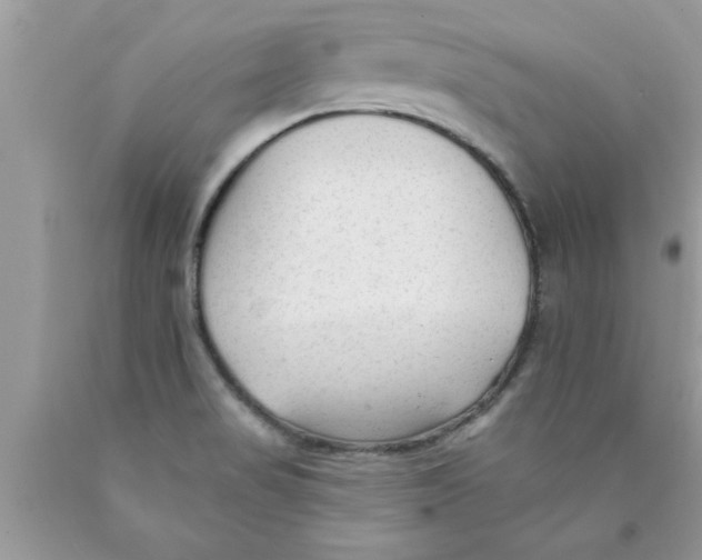 X0000089861517200707262117