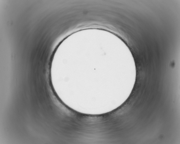 X0000089861518200707262117