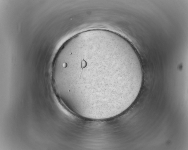 X0000089861519200707262117