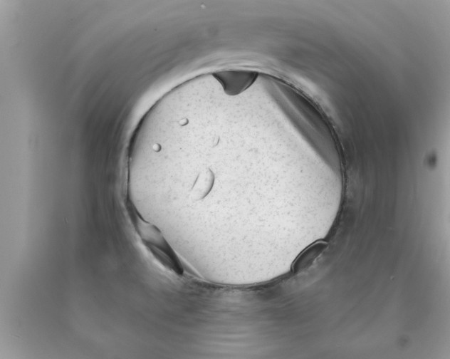 X0000089861520200707262117