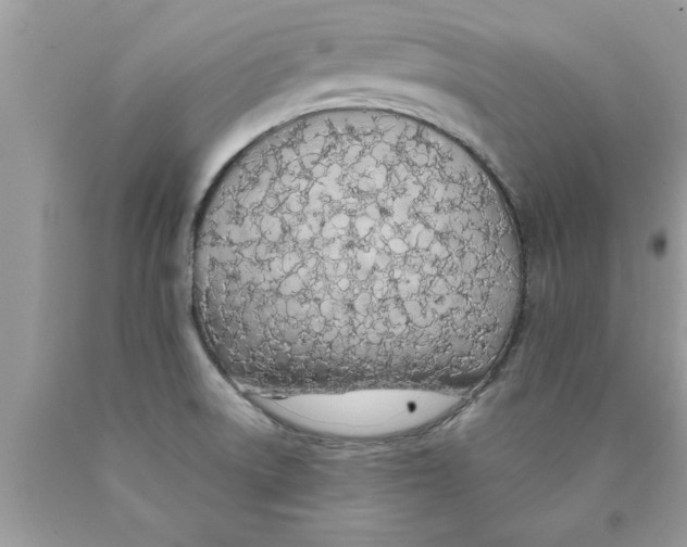 X0000089861522200707262117