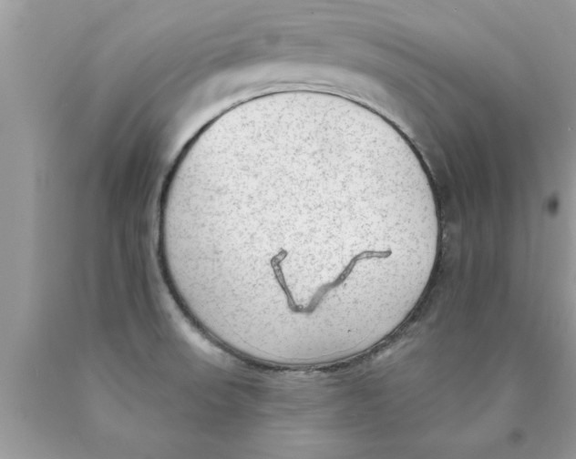 X0000089861523200707262117