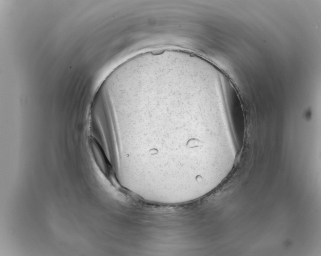 X0000089861524200707262117