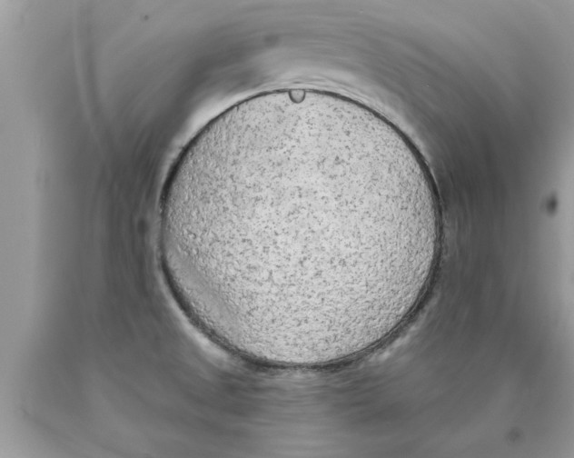 X0000089861525200707262117