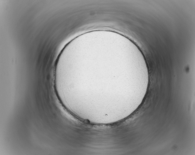 X0000089861526200707262117