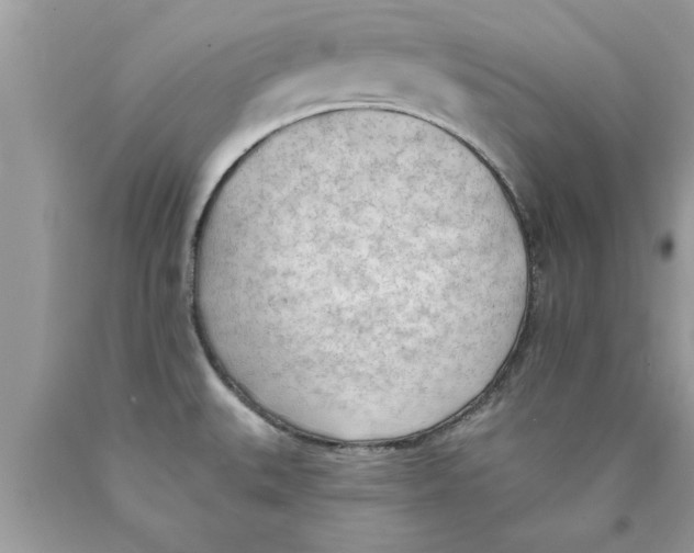 X0000089861527200707262117