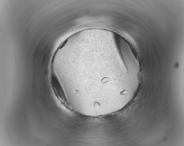 X0000089861528200707262117