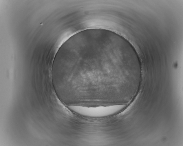 X0000089861529200707262117