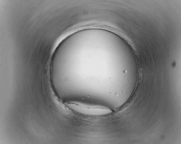 X0000089861530200707262117