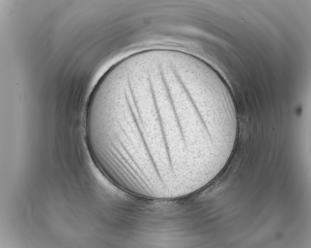 X0000089861531200707262117