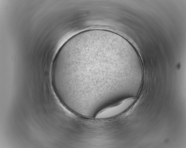 X0000089861533200707262117