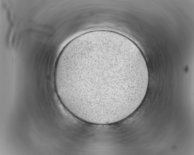 X0000089861534200707262117