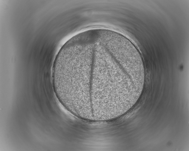 X0000089861535200707262117