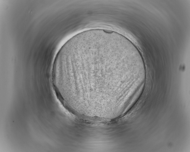 X0000089861536200707262117