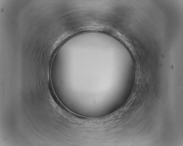 X0000089870011200706281046