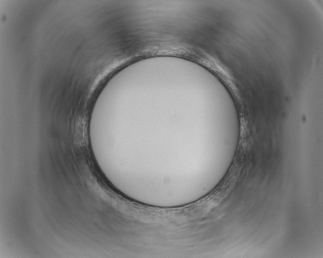 X0000089870012200706281046