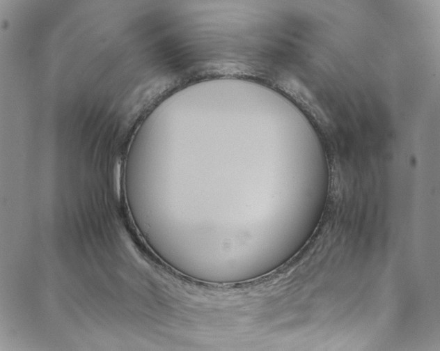 X0000089870014200706281046