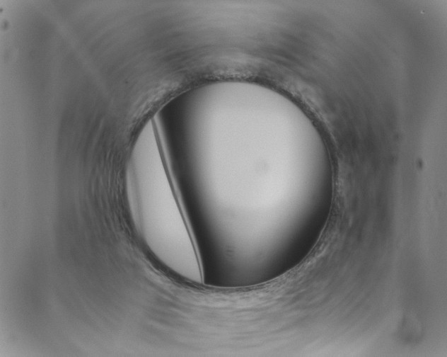 X0000089870017200706281046