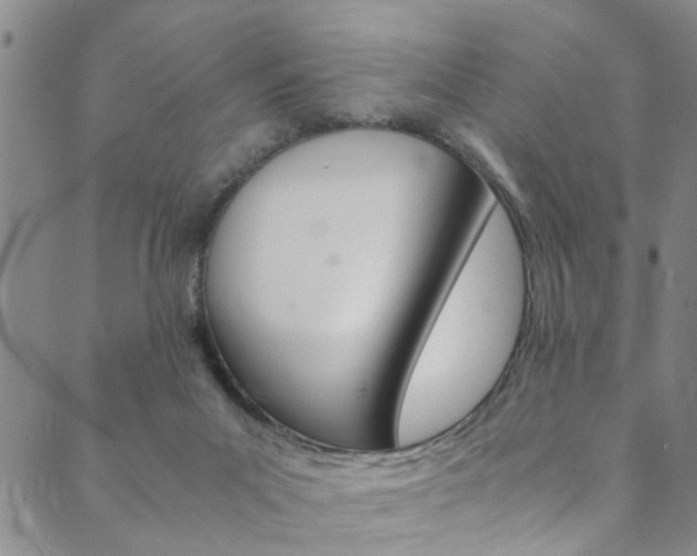 X0000089870023200706281046