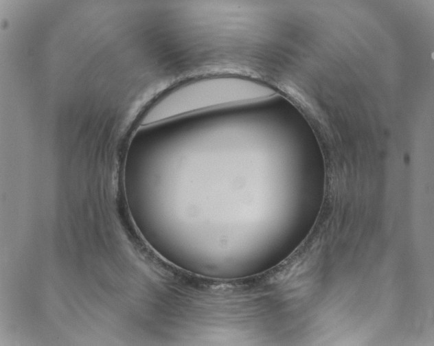 X0000089870064200706281045