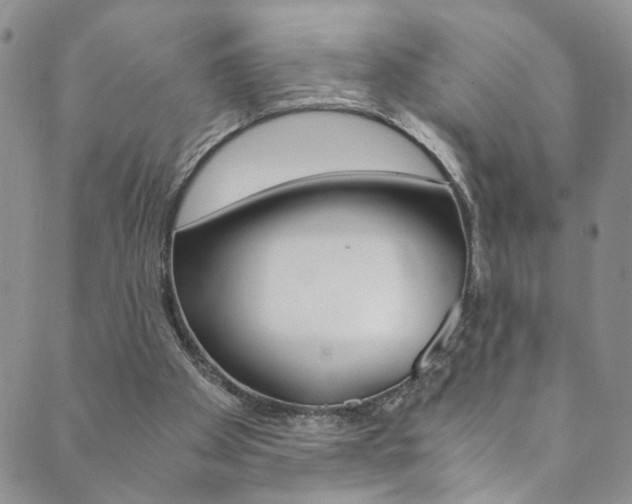 X0000089870105200706281044