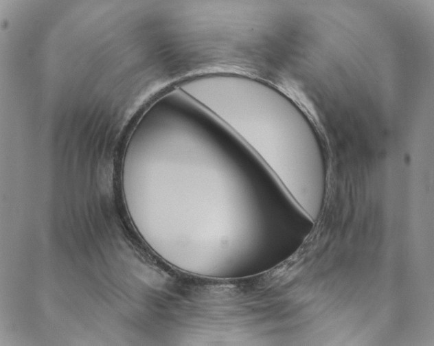 X0000089870108200706281044