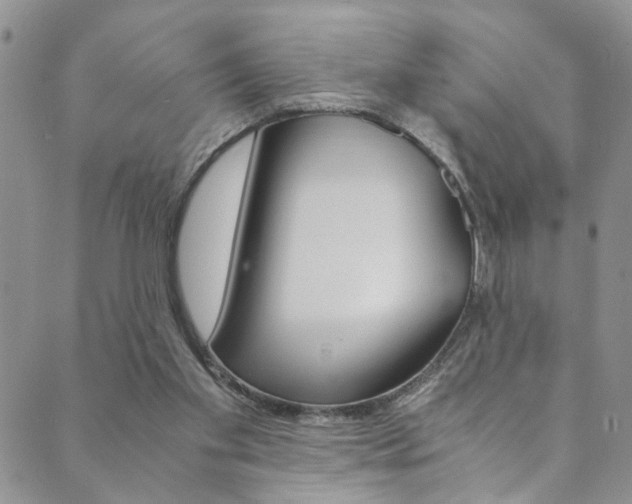 X0000089870109200706281044